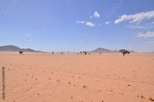 Desert of Sossusvlei  Namib-Naukluft National Park  Namibia blue sky panorama