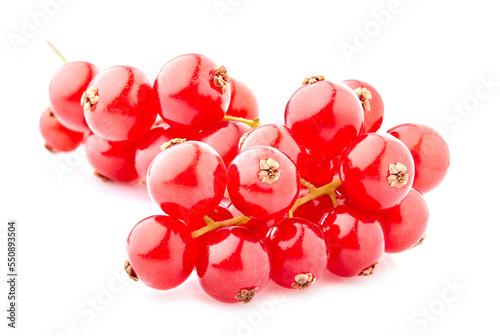 Ripe fresh  red currant berries photographed closeup isolated on a white background photo