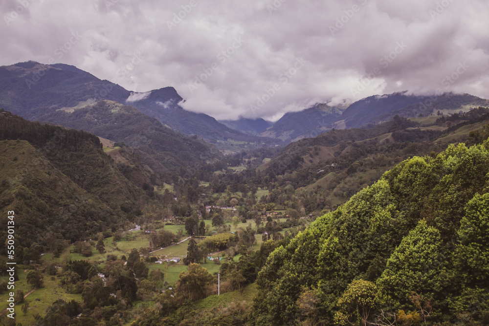 Fototapeta premium Mirador Valle del Cocora