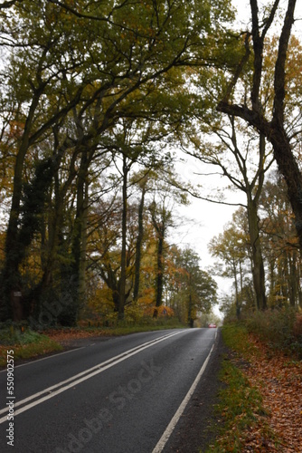 hanbury road going though piper's hill and Dodderhill common forest also known as Hanbury woods during a cloudy autumn day