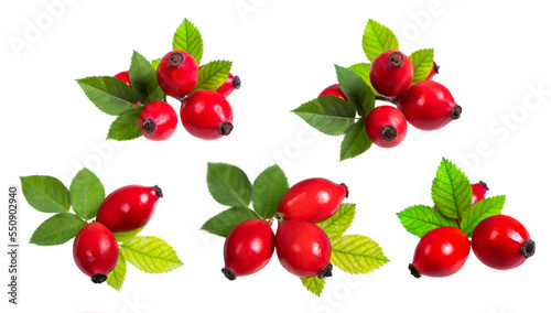 Collection Rosehip isolated on a white background. Fresh raw briar berries with leaves.