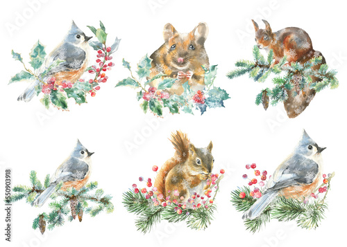 Watercolor christmas animal composition set. Squirrel, bird, mouse,poinsettia, holly berry, winter plants, flora. Bouquet,frame, greeting card, poster, gift,sticker, printable, postcard, diy. 