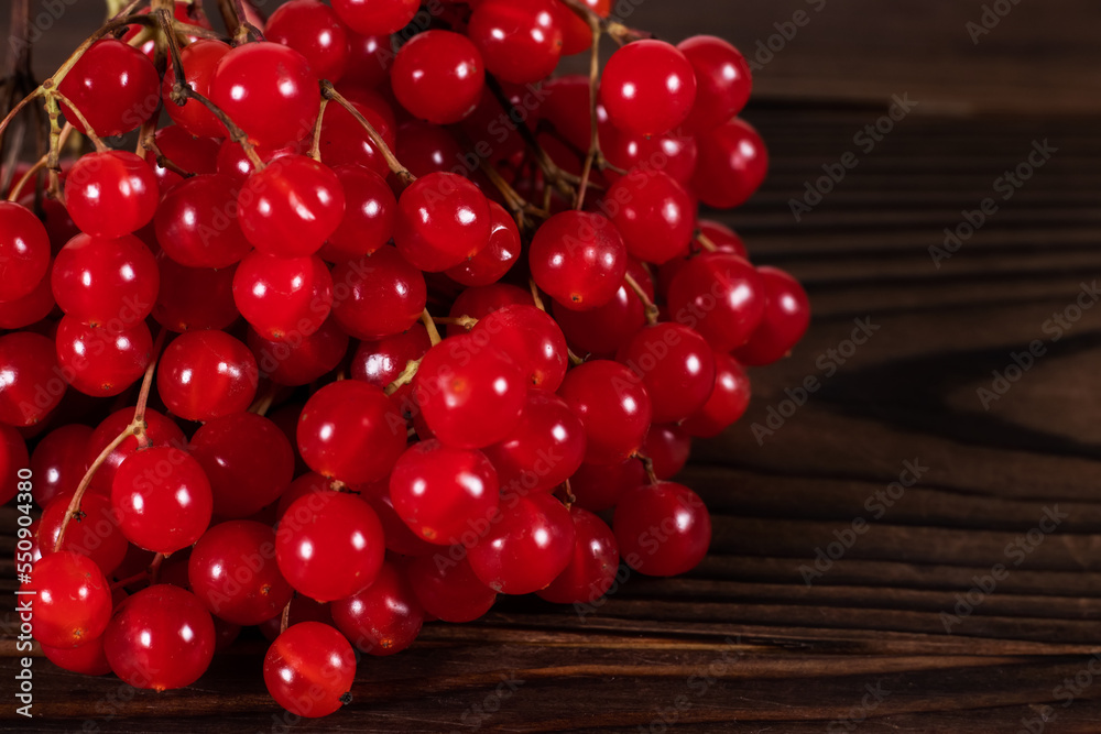 Branch red berries of Viburnum, arrow wood, on wooden background Branch red berries of Viburnum, arrow wood, on wooden background