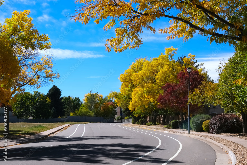 City street view with autumn yellow, red and green trees with bright leaves foliage, empty road and blue sky urban residential neighborhood landscape photo. Seasonal fall background.