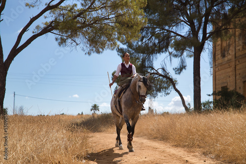 Woman horsewoman, young and beautiful, running at a trot with her horse, on a path with pine trees in the countryside. Concept horse riding, animals, dressage, horsewoman, cowgirl. © Manuel