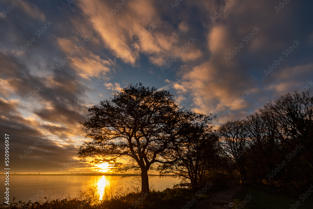 Fototapeta premium Sunrise at Penrhos Nature Park, Isle of Anglesey, North Wales