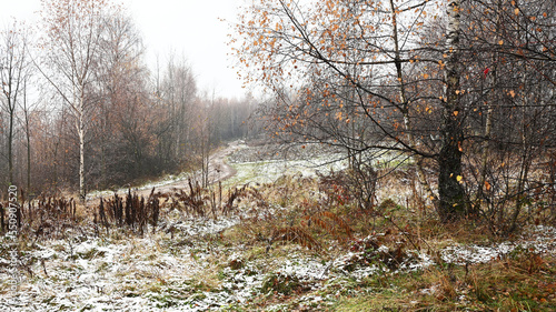 Fototapeta Naklejka Na Ścianę i Meble -  Pierwszy śnieg.