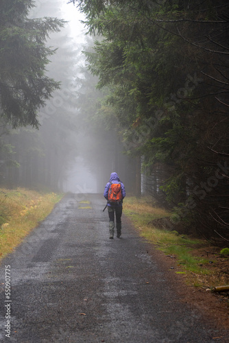 Wandern im Nebelwald/Lausitzer Gebirge 6