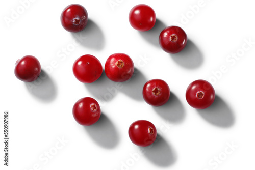 Scattered cranberries Vaccinium oxycoccus fruits, top view isolated png photo