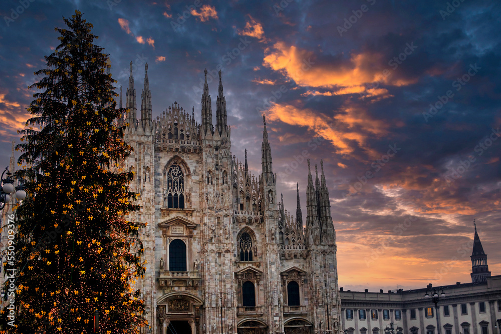 Naklejka premium Place of Duomo in center of Milan and Christmas tree