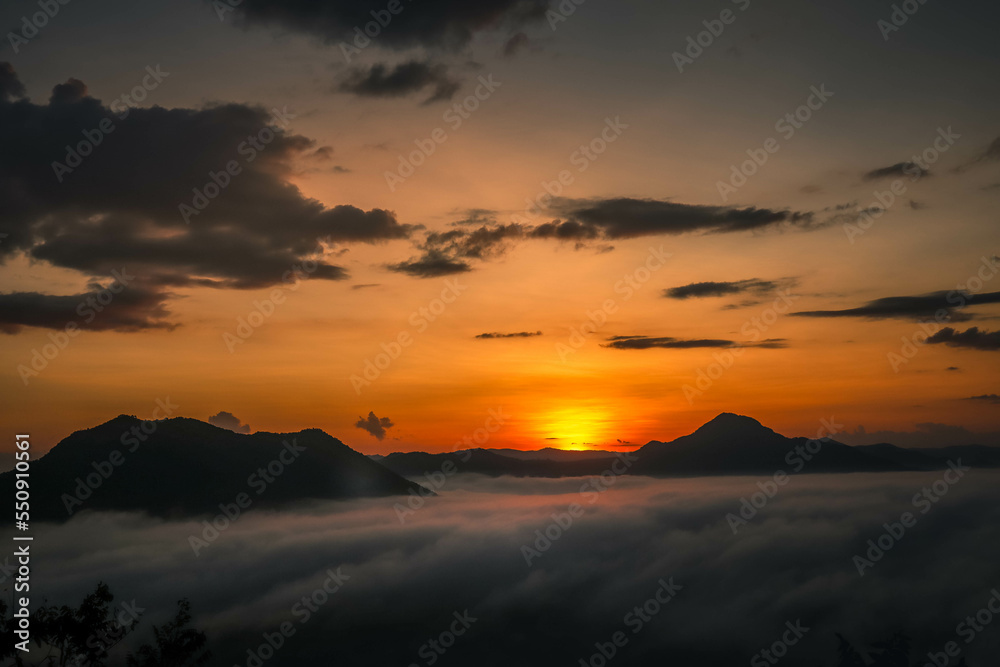 Beautiful sunset above mountains; the forest at orange sunset
