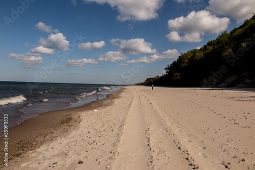 Sandy sea beach with small seashells