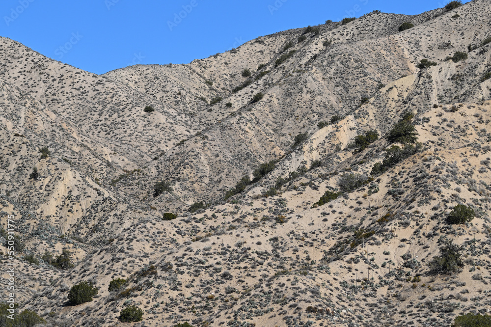 Foothills of the Caliente Range California.