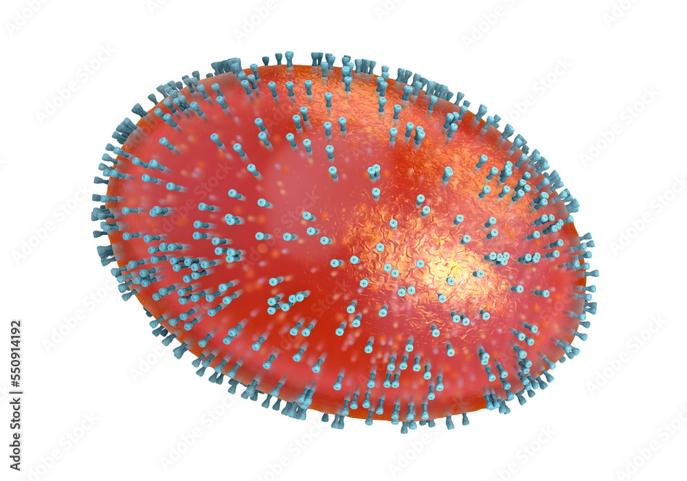 Smallpox pathogen with cell membrane, nucleocapsid, cell wall and glycoproteins - 3d illustration Smallpox pathogen with cell membrane, nucleocapsid, cell wall and glycoproteins - 3d illustration