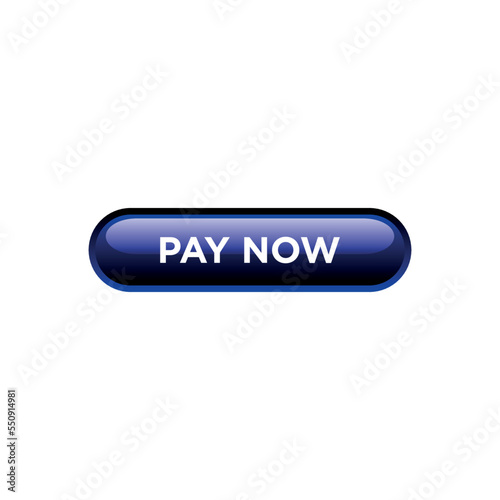 Pay Now Button Website Vector Template