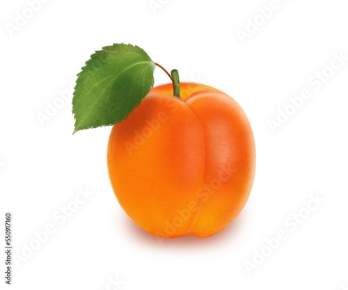 Orange apricot with leaf isolated on white background, digital drawing.
