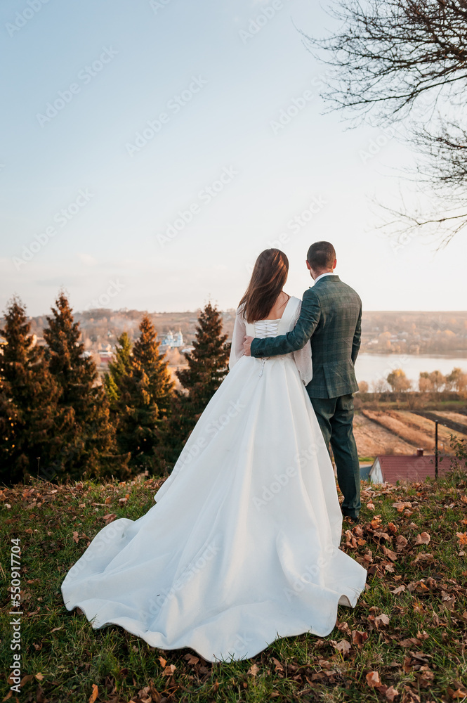 The groom holds the bride's hand against the backdrop of a beautiful landscape. The newlyweds hold each other's hands The groom holds the bride's hand against the backdrop of a beautiful landscape. The newlyweds hold each other's hands