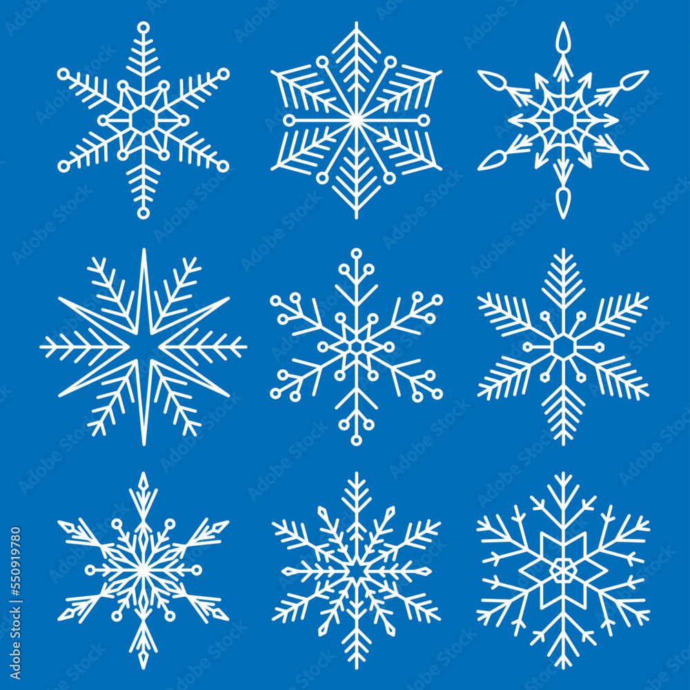 Fototapeta premium Different white snowflakes.
