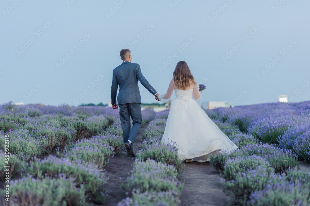 The groom holds the bride's hand against the backdrop of a beautiful landscape of a lavender field. Newlyweds hold hands