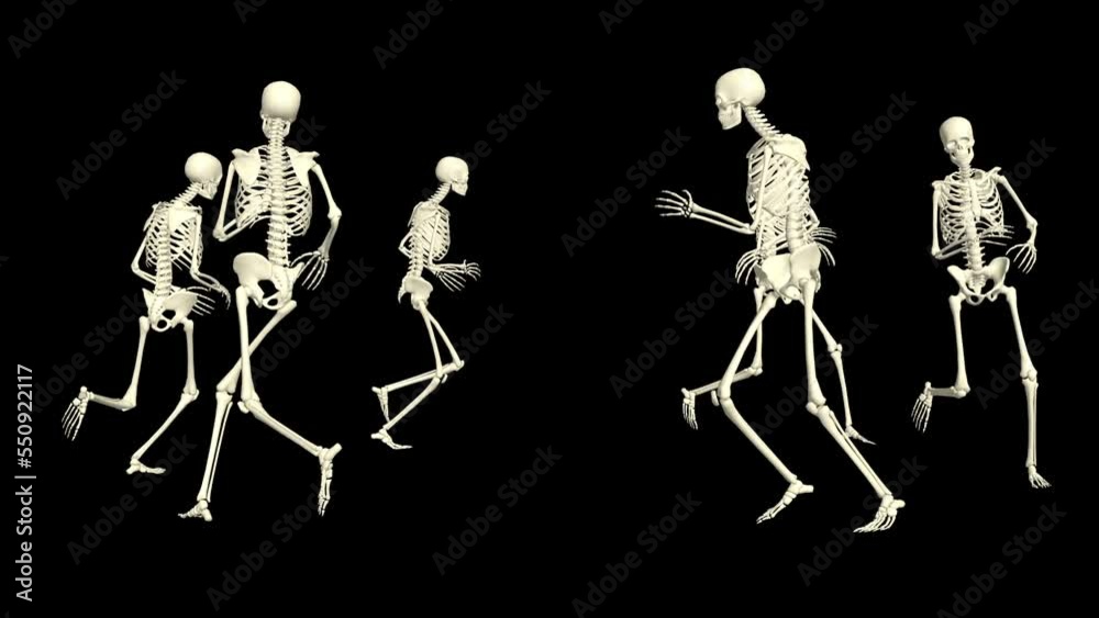 The skeletons run around. 3D running skeletons. The skeletons run around. 3D running skeletons.
