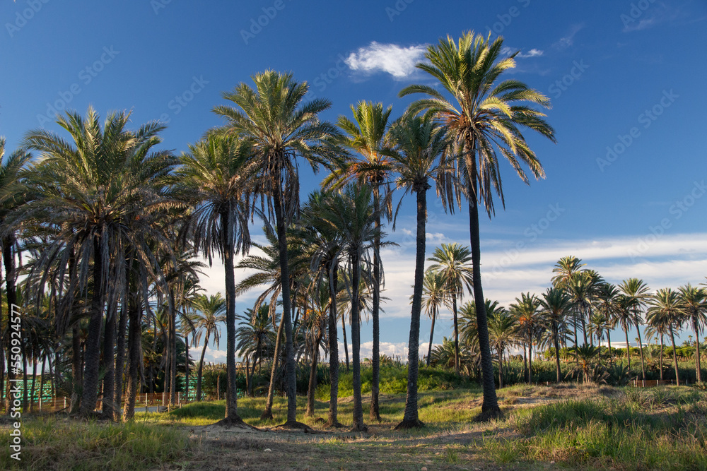 Vega Baja del Segura - Torrevieja - Cala Ferris o Paraje Natural Lo Ferris 