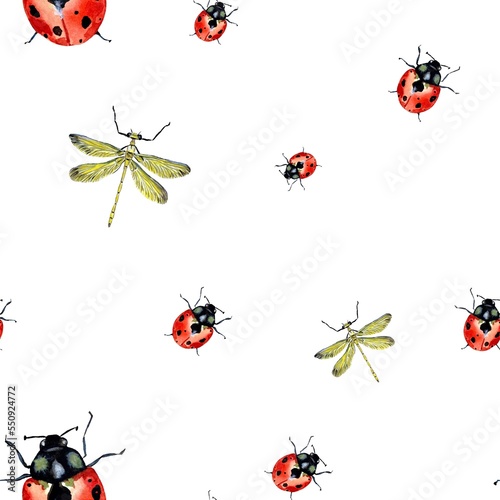 Ladybug red dragonfly nature pattern a watercolor