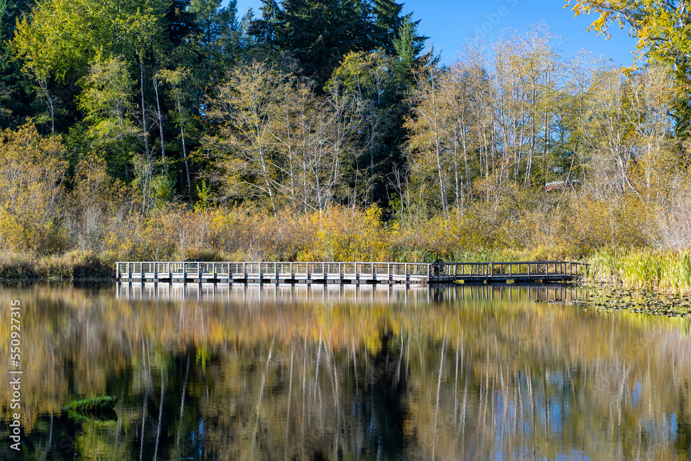 Public pier on park lake in autumn Public pier on park lake in autumn
