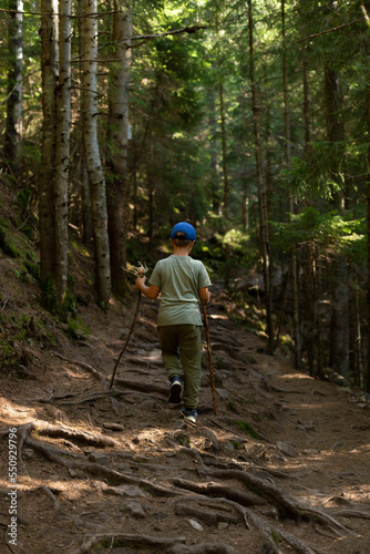 a child climbs a mountain along a forest path