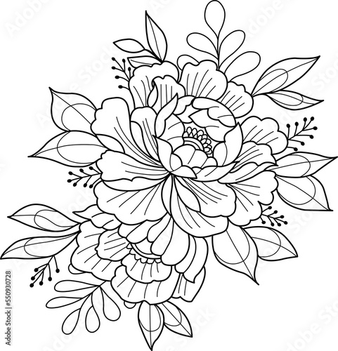 Peony Ink Flower or Vector Flower  an Illustration of a flower