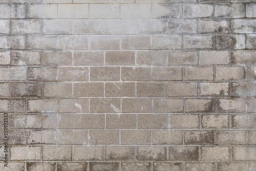 Bild auf Leinwand Cinder Block Wall