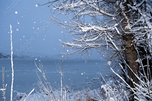 Winter landscape with snow-covered tree branches on the river bank during a snowfall. Beautiful winter landscape. in the foreground trees in the snow, through which you can see the river