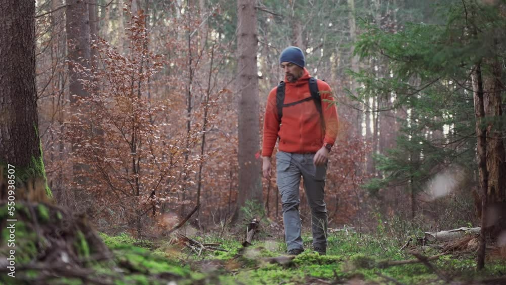 Hiker using mobile application to navigate in fall forest. Pathfinder tries to find best way in woods. Active lifestyle, touring concept. Backpacking trip. Following route. Lost in the wilderness. Hiker using mobile application to navigate in fall forest. Pathfinder tries to find best way in woods. Active lifestyle, touring concept. Backpacking trip. Following route. Lost in the wilderness.