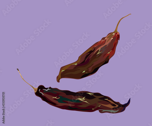 aji panca peruvian pepper vector illustration