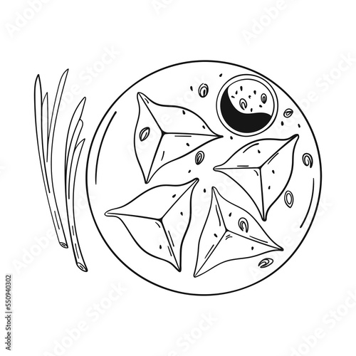 Hand drawn traditional Asian dumplings