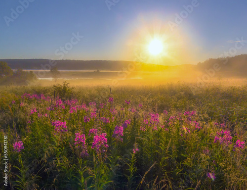 beautiful morning in the field. karelia © Павел Ващенков