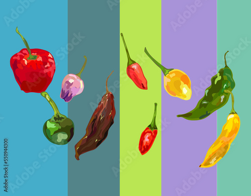 Cuadro en lienzo different types of peruvian pepper ilustration background