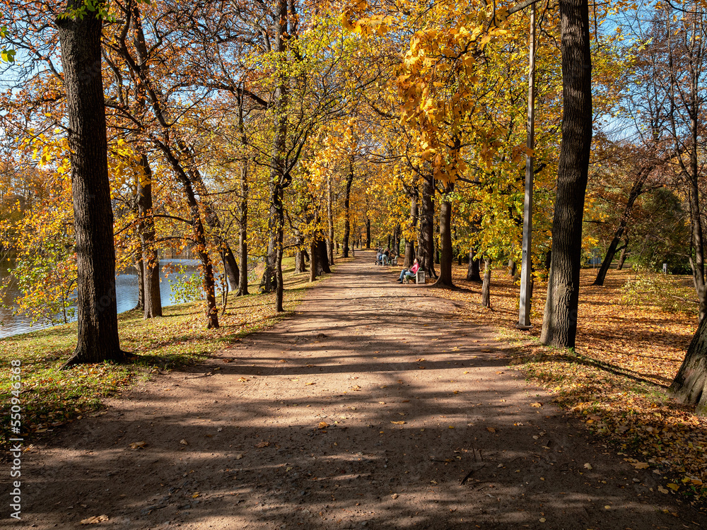 St. Petersburg, alley of the Central Park on Elagin Island in autumn.