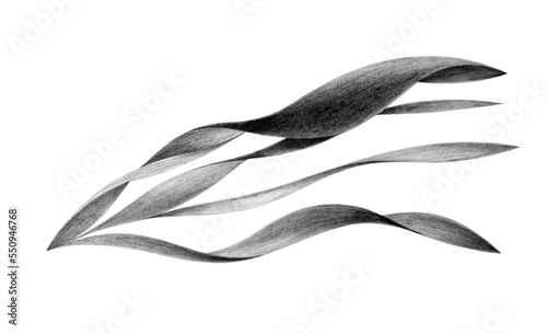 Wavy ribbons drawn in pencil design element. Illustration on a white background. Isolated. Elegant ribbons fluttering in the wind
