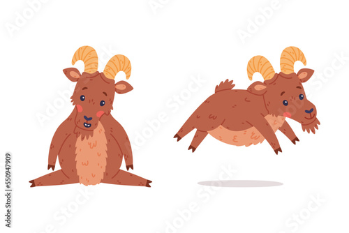 Urial Character as Wild Mountain Sheep with Horns Sitting and Jumping Vector Set
