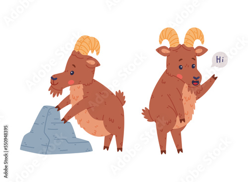 Urial Character as Wild Mountain Sheep with Horns Standing at Stone and Greeting Waving Hoof Vector Set