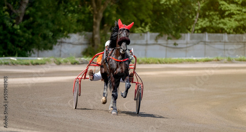 Jockey and horse. Trotting horse race. Race in harness with a sulky or racing bike. Harness racing. Trotting horse race. Sport banner