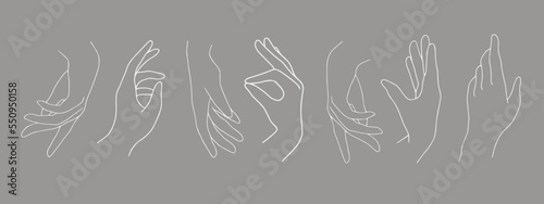 Vector white hands collection illustration on gray background. Hand gesture vector illustration, simple hand drawn set. Line art white hands clip art.  © DOROTHEA