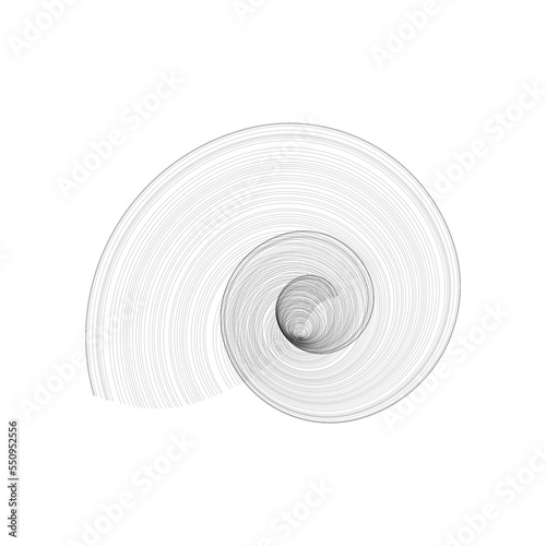 Photography Shell logo - ocean seashell sea beach marine nature animal exotic decoration tro