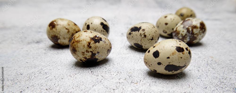  Quail eggs small spotted on a gray stone table. High quality photo Small quail eggs on a gray stone table soft selective focus blurred background.