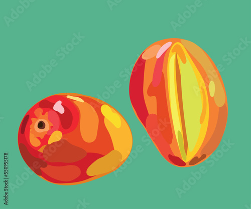 edward mango  vector illustration