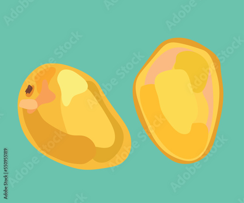 mango criollo peruvian fruit vector illustration