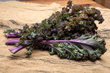 Leaves of winter vegetable purple kale cabbage close up