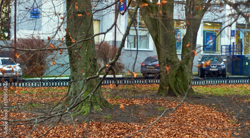 
The city of Kaliningrad in winter