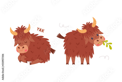 Cute Yak Character with Dense Fur and Horns Chewing Grass and Sleeping Vector Set