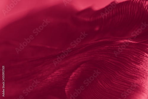 Photographie Abstract background in viva magenta color.
